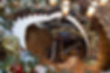 christmas-decorating-houston