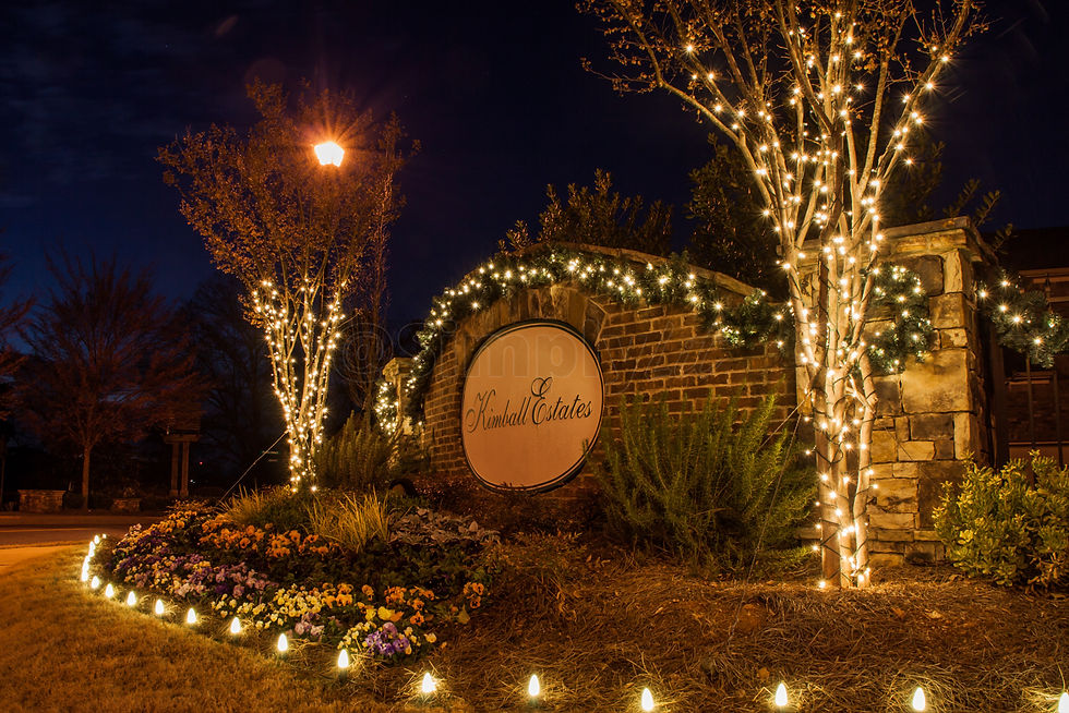 Planning Tips For Christmas Light Installation For Houston HOA