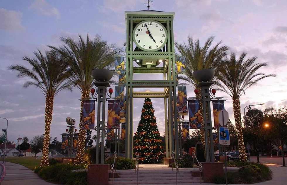 houston christmas light installation