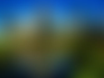 Why Houston Businesses Need SEO to grow