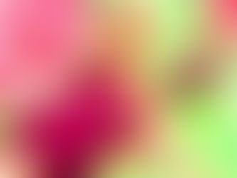 Avale/Cosmopolitan Event
Kira TattOO / The Darkness Event