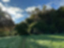 IMG_8911.jpeg