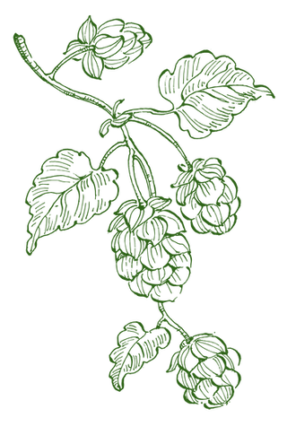 Icons (2).png