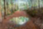 (3)The Puddle.oil and mixed media on canvas.60 inches X 48 inches 1520 X1219.Peter Kendall