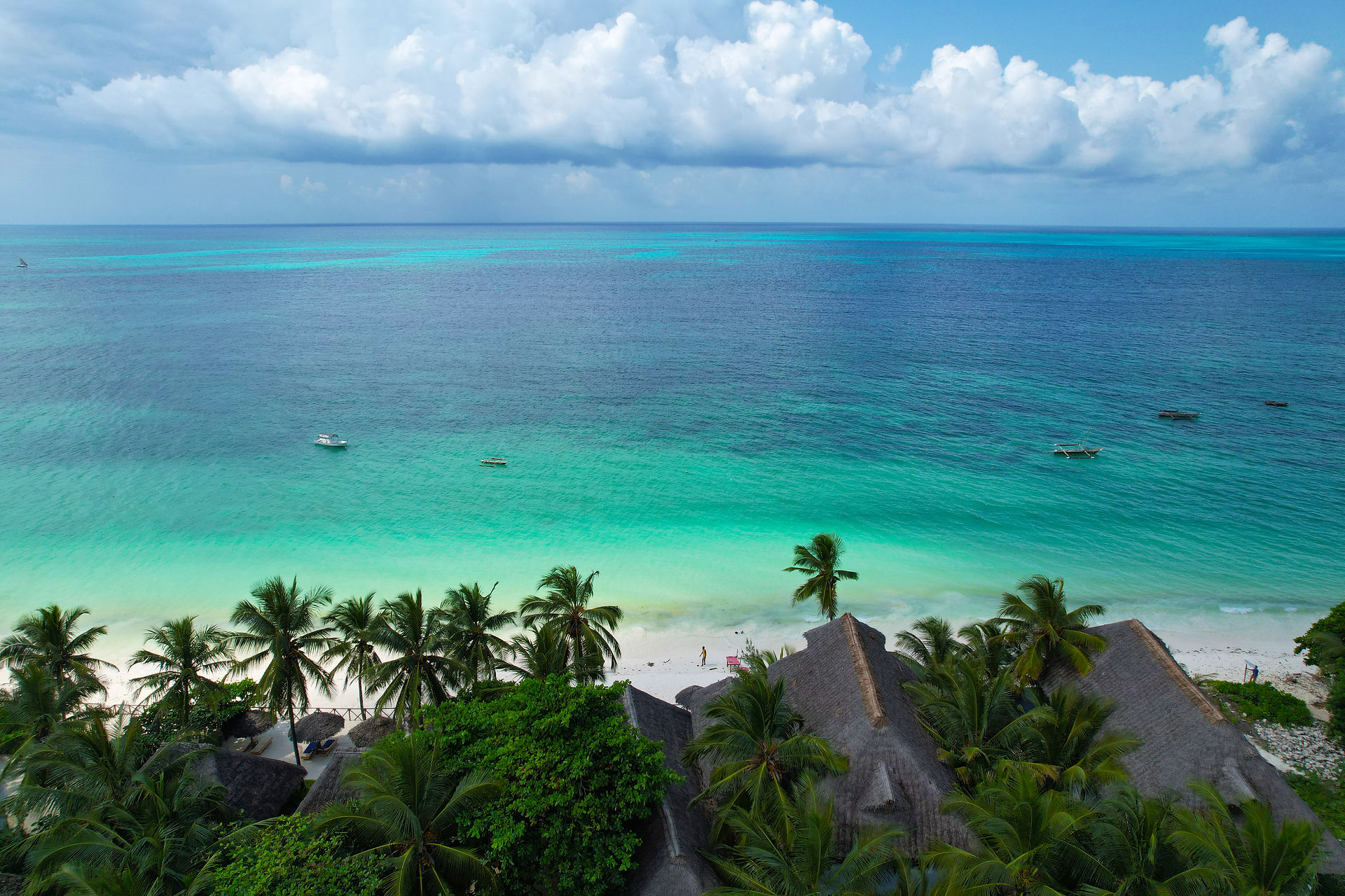 Exclusive Zanzibar beach lodge featuring a lush tropical garden on pristine white sand beach
