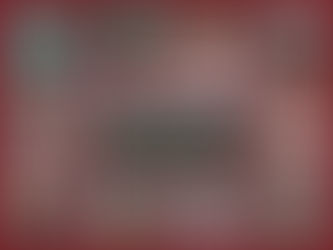 Представяме ви...ООУ 'Блаже Конески' от гр.Скопие