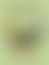 Конкурс който представяме