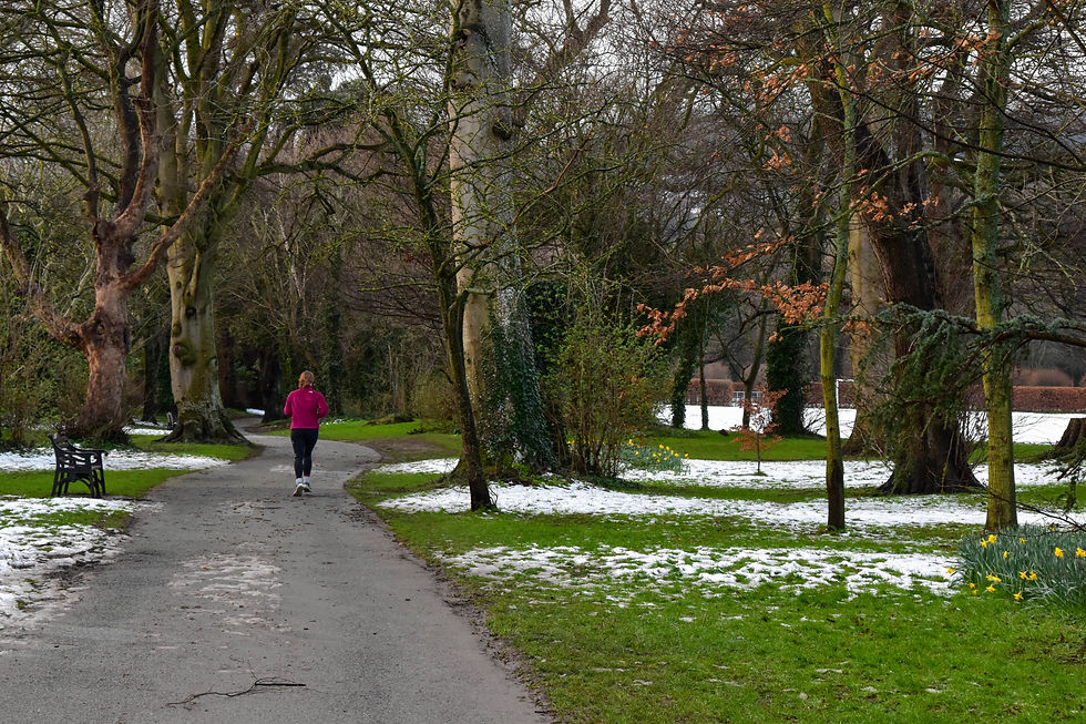 Snow