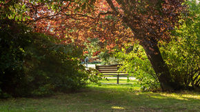 Autumn Photography: Capturing Nature's Beauty