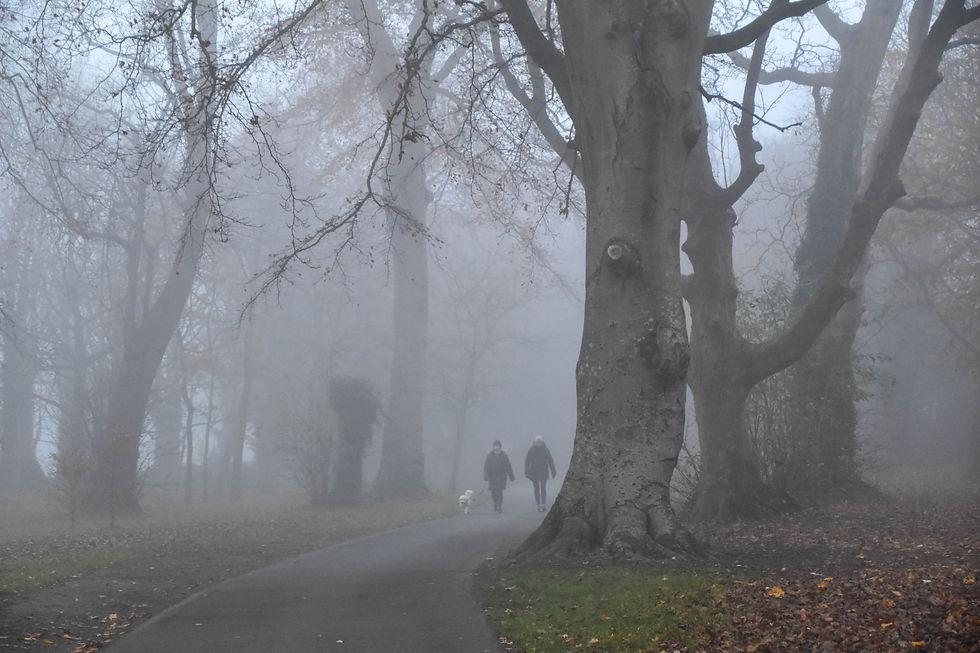 walkers in the mist