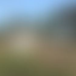 Embracing Reality – The Key to Enjoying Your Photography Journey