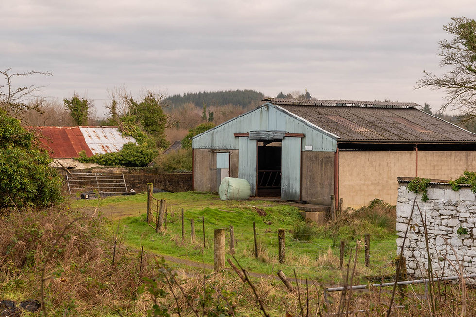 Old farm buildings like these are dotted around Ireland, many are still in use