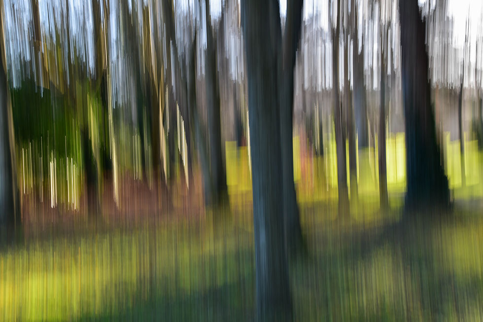 ICM trees