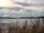 By the lake