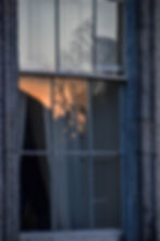 Tree in the window