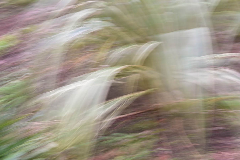 Sweeping movement