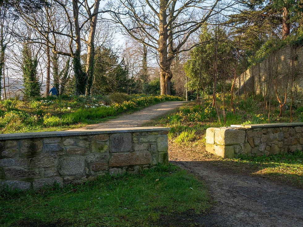 Capturing the Serenity of a Morning Photography Walk