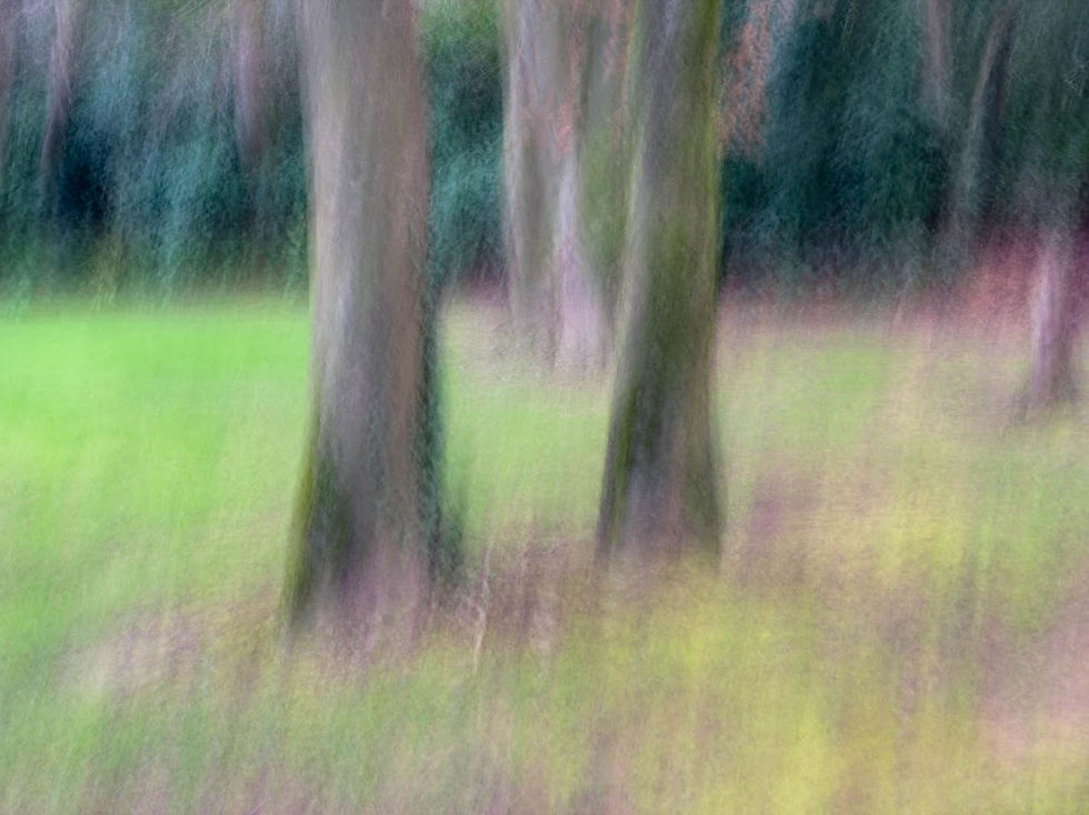 This was one of my first attempts at ICM (intentional camera movement). I was pleased with it at the time.