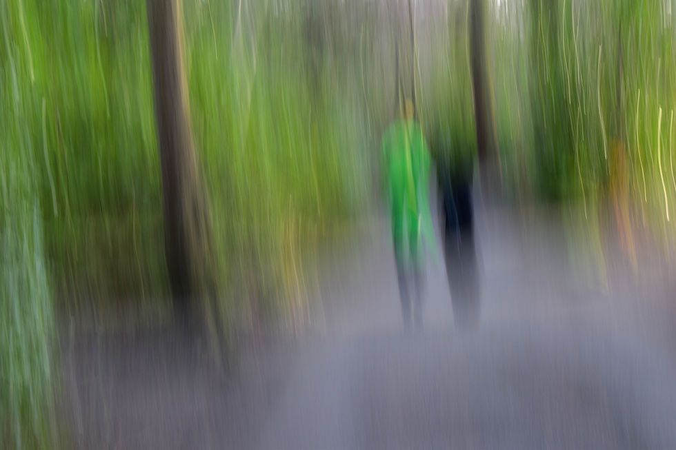 walk in the woods