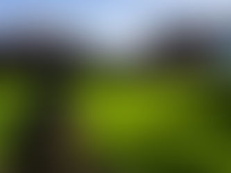 Capturing the Essence of History Through Photography: A Morning Adventure