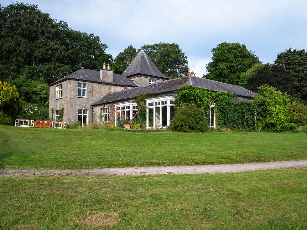 A Fun Morning of  Photography