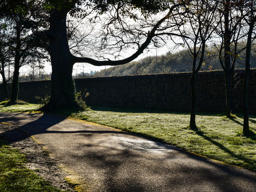 How Does Photography Support Positive Living?