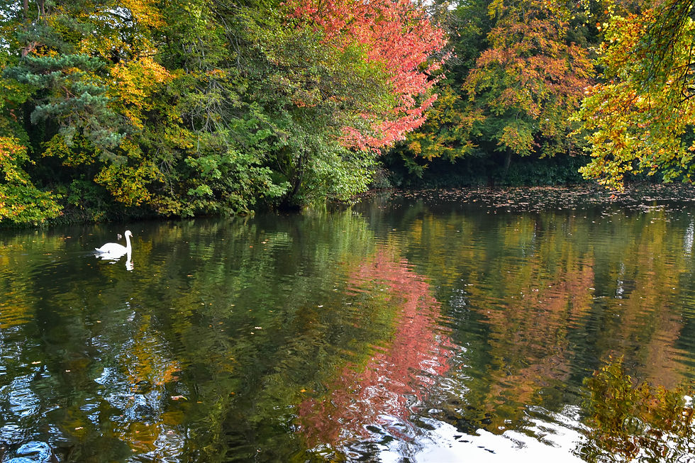 Colour on the lake