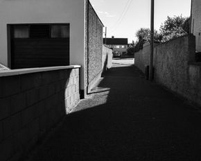 Enhance Your Daily Photography with Simple Challenges  