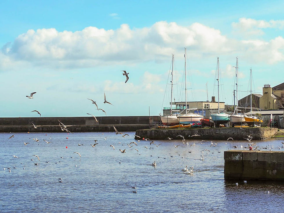 I like this image although today I would consider it to be a little unbalanced in terms of composition.