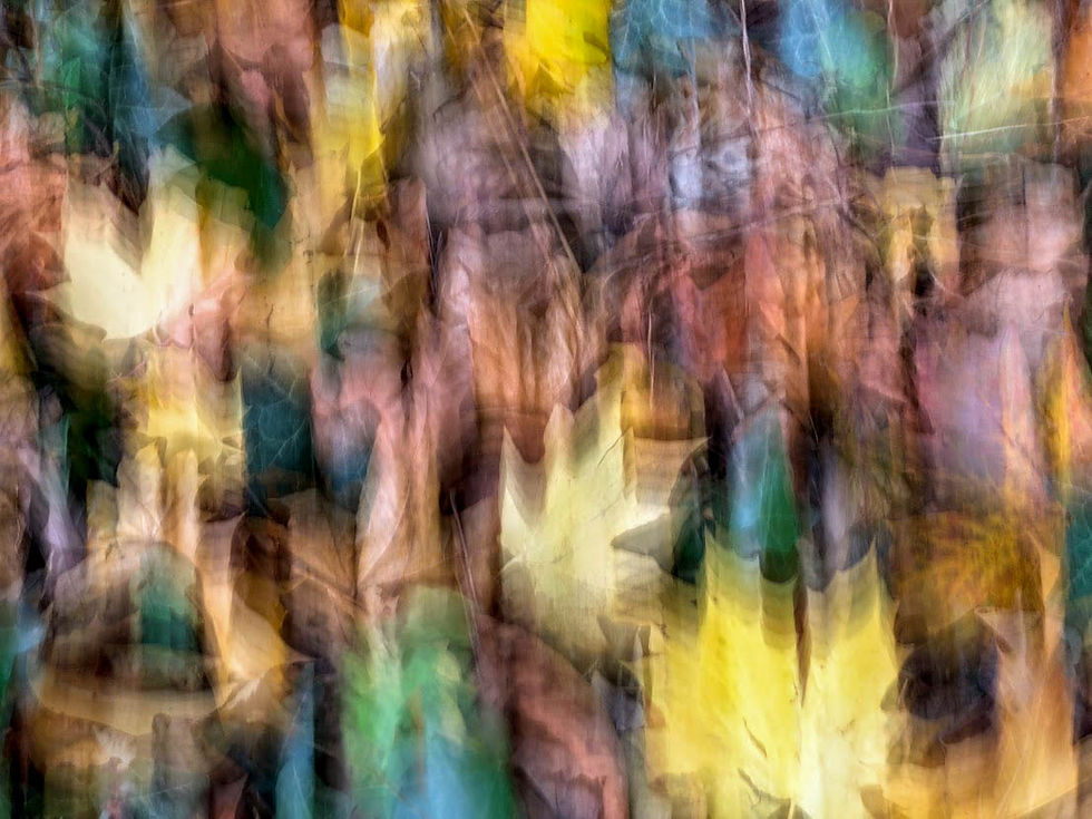ICM leaves