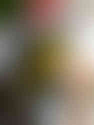 Veganer Zucchini-Kartoffelauflauf