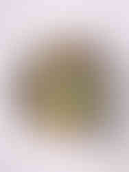 Vegane Türkische Pasta mit Hackfleischsauce