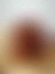 Ein köstlicher Teller mit veganen, glutenfreien Schokoladen-Brownies, garniert mit einer großzügigen Portion Mandelmus und knusprigen Walnusskernen. Dieses gesunde und dennoch schmackhafte Dessert ist eine Versuchung für die Sinne und eine Freude für den Gaumen. Probieren Sie dieses Rezept noch heute aus und verwöhnen Sie sich mit einem Stück himmlischer Schokoladenfreude.