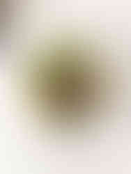 Udon-Nudel-Salat im Glas – Meal Prep Rezept mit Tofu, frischem Gemüse, Rotkohl, Karotten und cremiger Sesamsauce. Gesund, vegan und schnell vorbereitet