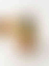 Udon-Nudel-Salat im Glas – Meal Prep Rezept mit Tofu, frischem Gemüse, Rotkohl, Karotten und cremiger Sesamsauce. Gesund, vegan und schnell vorbereitet