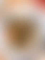 Gerösteter Brokkoli auf einer veganen Tomatensauce und Dinkel Spaghetti serviert mit Pinienkernen