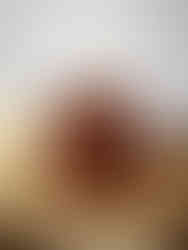 Ein köstlicher Teller mit veganen, glutenfreien Schokoladen-Brownies, garniert mit einer großzügigen Portion Mandelmus und knusprigen Walnusskernen. Dieses gesunde und dennoch schmackhafte Dessert ist eine Versuchung für die Sinne und eine Freude für den Gaumen. Probieren Sie dieses Rezept noch heute aus und verwöhnen Sie sich mit einem Stück himmlischer Schokoladenfreude.