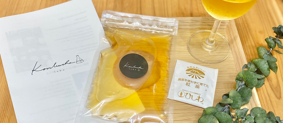 kombucha1dayレッスン開催しました
