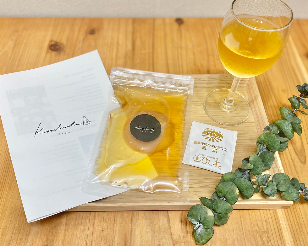 kombucha1dayレッスン開催しました