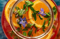 AdobeStock_222906727.jpeg