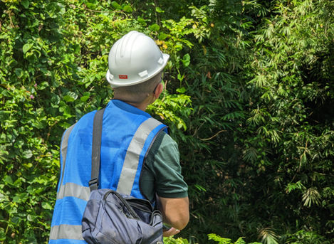 habitat enhancement