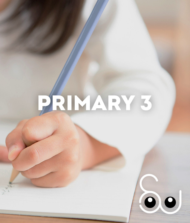 Primary 3 - Science