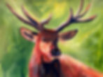 Thumbnail: The Stag