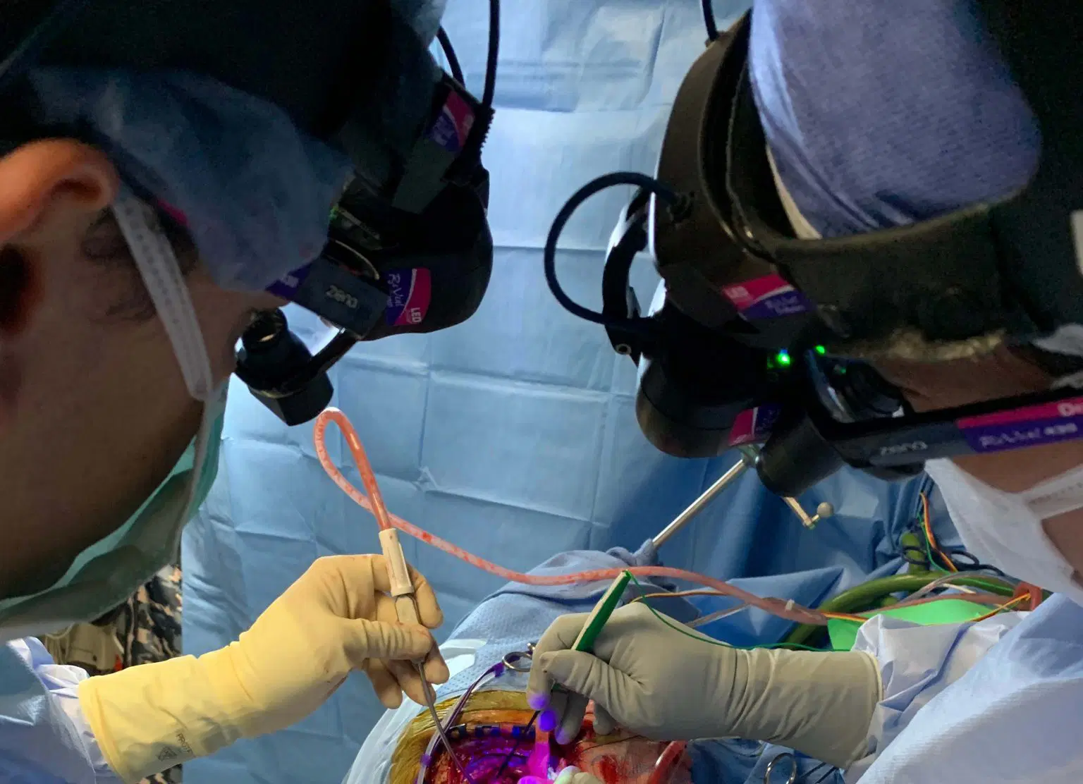 NEWS Theodore H. Schwartz