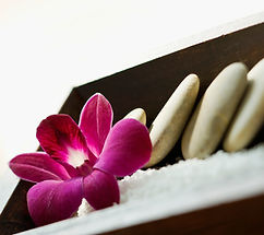 Exposition d'orchidées violettes