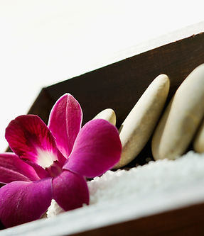 Exposition d'orchidées violettes