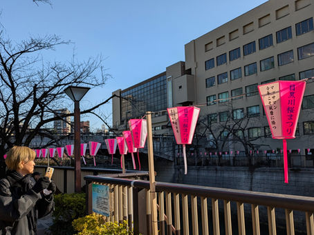 目黒区『スマホ講座』ー基本設定マスター講座編