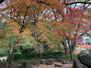 脳いきいきタブレット講座 北区 11回目