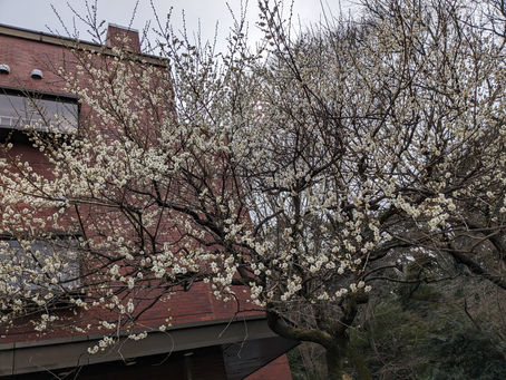 北区 初心者向けタブレット講座 1回目