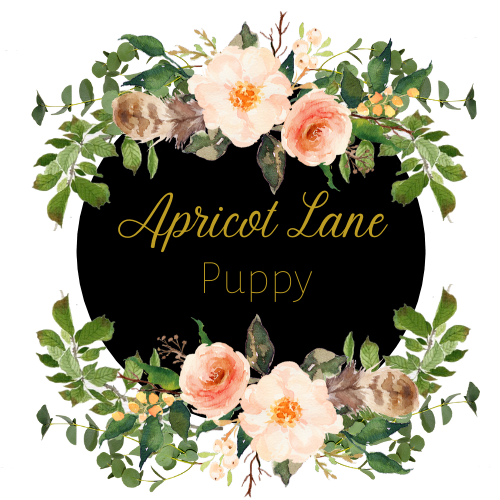 Frequently Asked Questions Apricot Lane Puppy